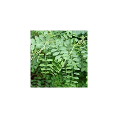 Indigo - 100 gr Indigo - 100 gr