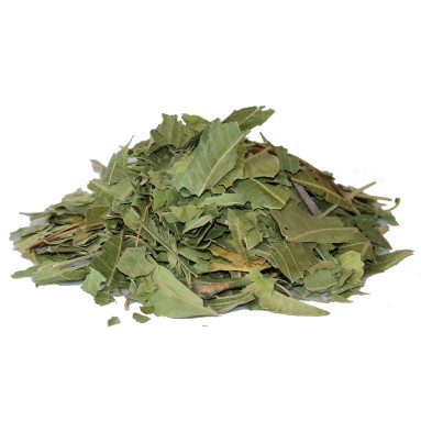 Neem feuilles BIOLOGIQUE Neem feuilles BIOLOGIQUE