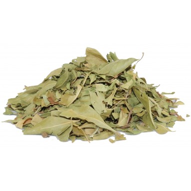 Henné du Rajasthan BIOLOGIQUE - feuilles entières - 100 gr Henné du Rajasthan BIOLOGIQUE - feuilles entières - 100 gr