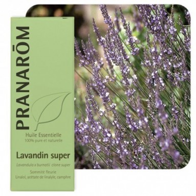 Huile essentielle de Lavandin super - 10 ml - Pranarôm Huile essentielle de Lavandin super - 10 ml - Pranarôm