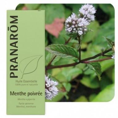 Huile essentielle de Menthe poivrée - 10 ml - Pranarôm Huile essentielle de Menthe poivrée - 10 ml - Pranarôm