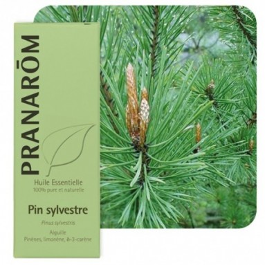 Huile essentielle de Pin sylvestre BIO - 10 ml - Pranarôm Huile essentielle de Pin sylvestre BIO - 10 ml - Pranarôm