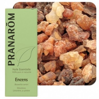 Huile essentielle d'Encens d'Oliban - 5 ml - Pranarôm Huile essentielle d'Encens d'Oliban - 5 ml - Pranarôm