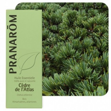Huile essentielle de Cèdre de l’Atlas - 10 ml - Pranarôm Huile essentielle de Cèdre de l’Atlas - 10 ml - Pranarôm
