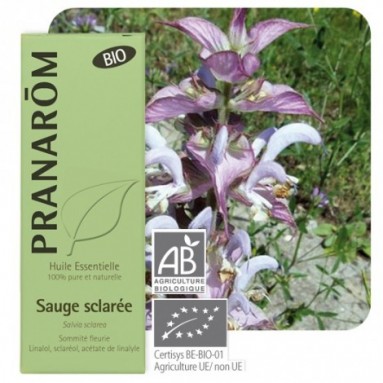 Huile essentielle de Sauge sclarée BIO - 10 ml - Pranarôm Huile essentielle de Sauge sclarée BIO - 10 ml - Pranarôm