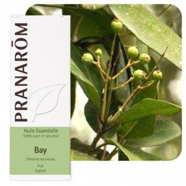 Huile essentielle de Bay St Thomas - 10 ml - Pranarôm Huile essentielle de Bay St Thomas - 10 ml - Pranarôm