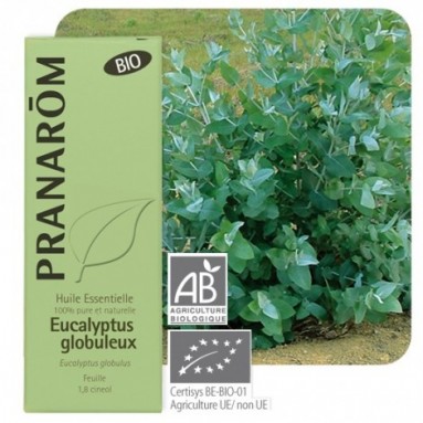 Huile essentielle d'Eucalyptus globulus BIO - 10 ml - Pranarôm Huile essentielle d'Eucalyptus globulus BIO - 10 ml - Pranarôm