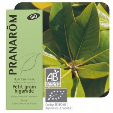Huile essentielle de Petitgrain bigarade BIO - 10 ml - Pranarôm Huile essentielle de Petitgrain bigarade BIO - 10 ml - Pranarôm