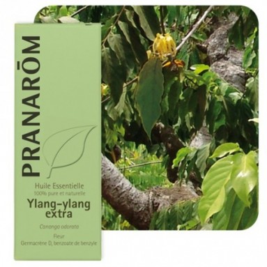 Huile essentielle d'Ylang-ylang - 5 ml - Pranarôm