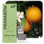 Huile essentielle d'Orange douce BIO - 10 ml - Pranarôm