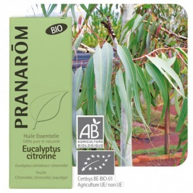 Huile essentielle d'Eucalyptus citronné BIO - 10 ml - Pranarôm Huile essentielle d'Eucalyptus citronné BIO - 10 ml - Pranarôm