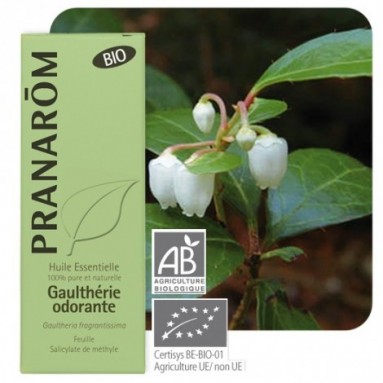 Huile essentielle de Gaulthérie odorante BIO - 10 ml - Pranarôm Huile essentielle de Gaulthérie odorante BIO - 10 ml - Pranarôm