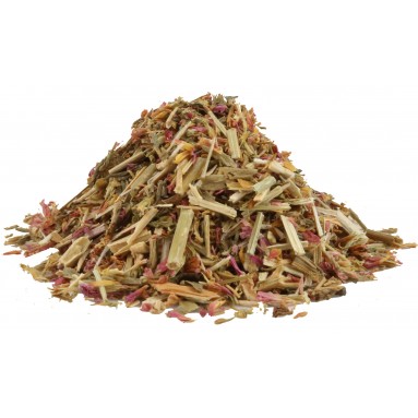 Centaurée Centaurée