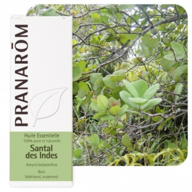 Huile essentielle de Santal des Indes - 10 ml - Pranarôm Huile essentielle de Santal des Indes - 10 ml - Pranarôm