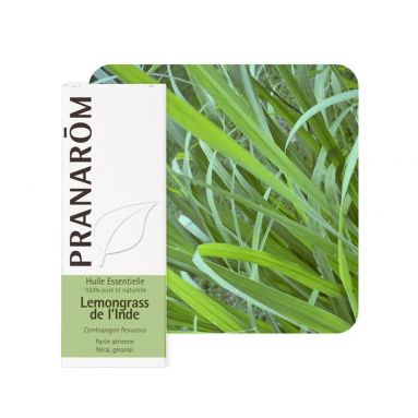 Huile essentielle de Lemongrass de L'Inde - 10 ml - Pranarôm Huile essentielle de Lemongrass de L'Inde - 10 ml - Pranarôm