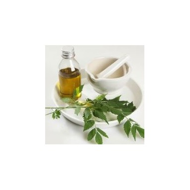 Huile de neem - 50ml