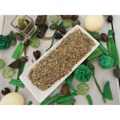 Feuille de Prêle Feuille de Prêle