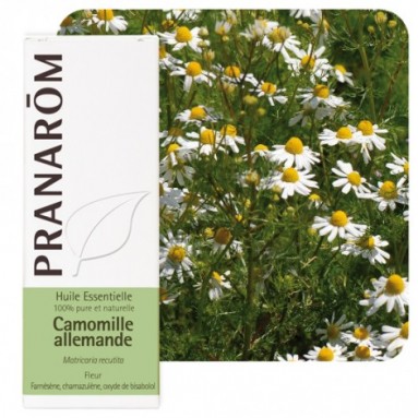 Huile essentielle de Camomille Allemande ou Matricaire - 5 ml - Pranarôm Huile essentielle de Camomille Allemande ou Matricaire - 5 ml - Pranarôm